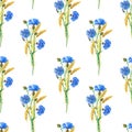 Blue cornflowers, wheat.Watercolor floral seamless pattern. Watercolour Illustration with flower