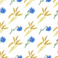 Blue cornflowers, wheat.Watercolor floral seamless pattern. Watercolour Illustration with flower