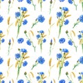 Blue cornflowers, wheat.Watercolor floral seamless pattern. Watercolour Illustration with flower