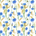 Blue cornflowers, wheat.Watercolor floral seamless pattern. Watercolour Illustration with flower