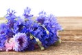 Blue cornflowers on white Royalty Free Stock Photo