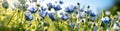 Blue cornflowers. Wild summer flowers field. Summer landscape background with beautiful flowers. Banner. Generative AI