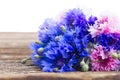 Blue cornflowers Royalty Free Stock Photo