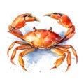 Blue_Crab_Emotive_Watercolors3