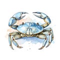 Blue_Crab_Emotive_Watercolors2