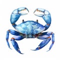 Blue_Crab_Emotive_Watercolors1