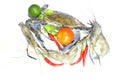 Blue crab, giant freshwater lobster, lime, tomato and hot chillies Royalty Free Stock Photo