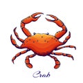 blue crab .red sea animal with claws. engraved colored crab in vintage style. outline illustration, hand drawn boiled