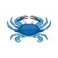 Blue crab in watercolor style. This logo may be used for a fishing business, restaurant seafood suppliers and so on. Royalty Free Stock Photo
