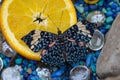 Blue Cracker Hamadryas arinome butterfly on an orange slice. Royalty Free Stock Photo