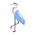 blue crane wild nature animal standing with tall leg have beak and wing beautiful feather