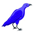 Blue crow icon isometric vector. Raven bird Royalty Free Stock Photo