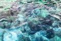 Blue crystal clear sea water, stones texture background, turquoise transparent ocean, underwater coral reef surface backdrop close Royalty Free Stock Photo