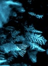 Blue crystal in the dark Royalty Free Stock Photo