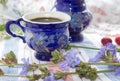 Blue cup of coffee tea chicory drink with chicory flower, hot beverage on embroidered fabric background