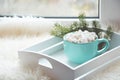 Blue cup of hot chocolate with marshmallow on windowsill with furskin for relax. Holiday concept. Royalty Free Stock Photo
