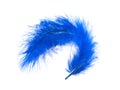 Blue curved feather Royalty Free Stock Photo