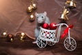 Blue cute rat sits on bicycle with red balls in Christmas decorations with bells, on a brown background with a copyspace Royalty Free Stock Photo