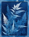 Blue cyanotype herbal background Royalty Free Stock Photo