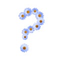 Blue Daisy Question Mark