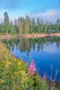 Blue dam and purple flower, with the lake in germany with beautiful water reflections and forest landscape and blue sky -