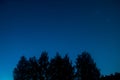 Blue dark night sky with many stars above field of trees. Milkyway cosmos