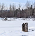 Blue Day on Eklutna Lake, Alaska Royalty Free Stock Photo