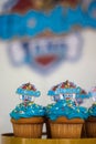 Blue decorated cupcakes with unfocused backgroundblue decorated cupcakes with white blur background