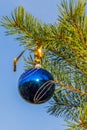 Blue decorative ball on the christmas tree blue sky background. Royalty Free Stock Photo