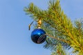 Blue decorative ball on the christmas tree blue sky background. Royalty Free Stock Photo