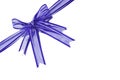 Blue decorative bow ribbon