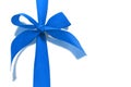 Blue decorative bow ribbon