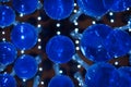 Blue Decorative Bulbs