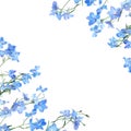 Blue Delphinium Flower Background Border