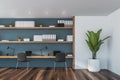 Blue designer office with plant Royalty Free Stock Photo