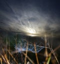 Blue dewy spider net and sunset