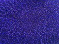 Blue disco glitter sparkling fabric background - sequin backdrop. Holiday abstract glitter texture with blinking lights, fashion