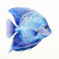 Detailed Watercolor Painting Of Blue Discus Fish On White Background