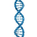 Blue DNA Double Helix on Black Background Royalty Free Stock Photo