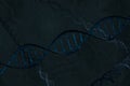 Blue DNA double helix, diagonal facing Royalty Free Stock Photo