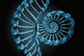 Blue DNA helices under a microscope, DNA research in the future, Generative AI Royalty Free Stock Photo