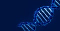 Blue DNA Helix Structure - Biotechnology and Genetic Research. Genetic Code Visualization Royalty Free Stock Photo