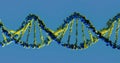 Blue DNA Helix Structure - Biotechnology and Genetic Research. Genetic Code Visualization Royalty Free Stock Photo