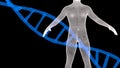 Blue dna and human wireframe