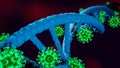 Blue DNA structure on blurred background attacked by SARS-CoV-2 Coronavirus - 3D Illustration Royalty Free Stock Photo