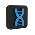 Blue DNA symbol icon isolated on transparent background. Black square button. Royalty Free Stock Photo