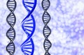 Blue DNA with unique one on Bokeh background, isolated on white background Royalty Free Stock Photo