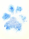 Blue Dog paw print showing pads