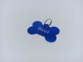 A blue dog tag in the shape of a bone with the name and phone number on the back Royalty Free Stock Photo