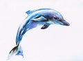 Blue dolphin